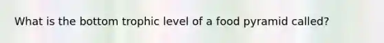 What is the bottom trophic level of a food pyramid called?