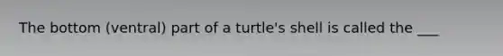 The bottom (ventral) part of a turtle's shell is called the ___