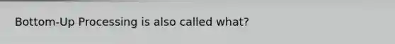 Bottom-Up Processing is also called what?