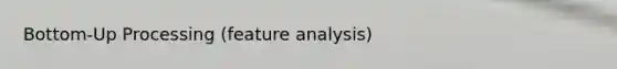Bottom-Up Processing (feature analysis)