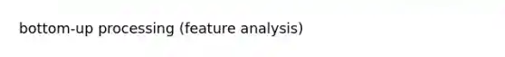 bottom-up processing (feature analysis)