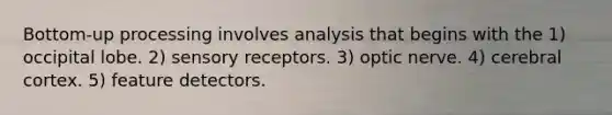Bottom-up processing involves analysis that begins with the 1) occipital lobe. 2) sensory receptors. 3) optic nerve. 4) cerebral cortex. 5) feature detectors.