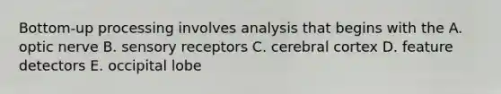 Bottom-up processing involves analysis that begins with the A. optic nerve B. sensory receptors C. cerebral cortex D. feature detectors E. occipital lobe