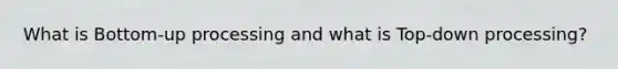 What is Bottom-up processing and what is Top-down processing?
