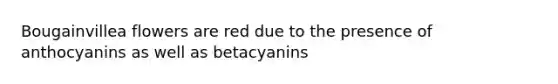 Bougainvillea flowers are red due to the presence of anthocyanins as well as betacyanins