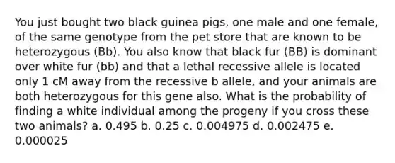 You just bought two black guinea pigs, one male and one female, of the same genotype from the pet store that are known to be heterozygous (Bb). You also know that black fur (BB) is dominant over white fur (bb) and that a lethal recessive allele is located only 1 cM away from the recessive b allele, and your animals are both heterozygous for this gene also. What is the probability of finding a white individual among the progeny if you cross these two animals? a. 0.495 b. 0.25 c. 0.004975 d. 0.002475 e. 0.000025