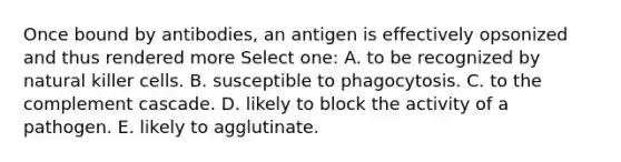 Once bound by antibodies, an antigen is effectively opsonized and thus rendered more Select one: A. to be recognized by natural killer cells. B. susceptible to phagocytosis. C. to the complement cascade. D. likely to block the activity of a pathogen. E. likely to agglutinate.