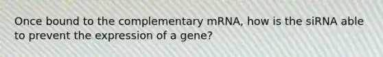 Once bound to the complementary mRNA, how is the siRNA able to prevent the expression of a gene?