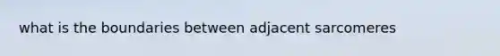 what is the boundaries between adjacent sarcomeres