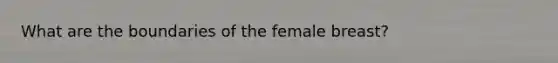 What are the boundaries of the female breast?