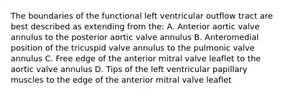 The boundaries of the functional left ventricular outflow tract are best described as extending from the: A. Anterior aortic valve annulus to the posterior aortic valve annulus B. Anteromedial position of the tricuspid valve annulus to the pulmonic valve annulus C. Free edge of the anterior mitral valve leaflet to the aortic valve annulus D. Tips of the left ventricular papillary muscles to the edge of the anterior mitral valve leaflet