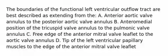 The boundaries of the functional left ventricular outflow tract are best described as extending from the: A. Anterior aortic valve annulus to the posterior aortic valve annulus B. Anteromedial position of the tricuspid valve annulus to the pulmonic valve annulus C. Free edge of the anterior mitral valve leaflet to the aortic valve annulus D. Tip of the left ventricular papillary muscles to the edge of the anterior mitral valve leaflet