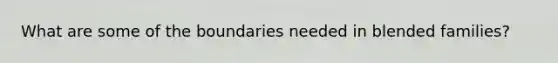 What are some of the boundaries needed in blended families?