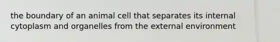 the boundary of an animal cell that separates its internal cytoplasm and organelles from the external environment