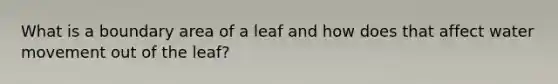 What is a boundary area of a leaf and how does that affect <a href='https://www.questionai.com/knowledge/kNT0ald5rb-water-movement' class='anchor-knowledge'>water movement</a> out of the leaf?