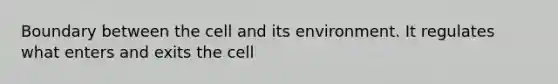 Boundary between the cell and its environment. It regulates what enters and exits the cell