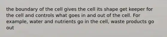 the boundary of the cell gives the cell its shape get keeper for the cell and controls what goes in and out of the cell. For example, water and nutrients go in the cell, waste products go out