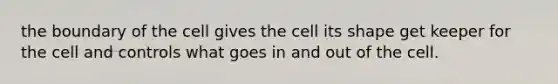 the boundary of the cell gives the cell its shape get keeper for the cell and controls what goes in and out of the cell.