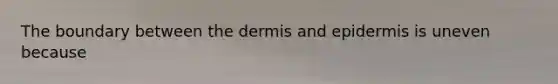 The boundary between <a href='https://www.questionai.com/knowledge/kEsXbG6AwS-the-dermis' class='anchor-knowledge'>the dermis</a> and epidermis is uneven because