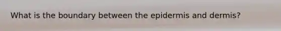 What is the boundary between the epidermis and dermis?