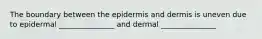 The boundary between the epidermis and dermis is uneven due to epidermal _______________ and dermal _______________