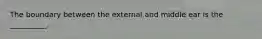 The boundary between the external and middle ear is the __________.