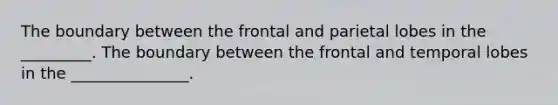 The boundary between the frontal and parietal lobes in the _________. The boundary between the frontal and temporal lobes in the _______________.