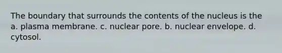 The boundary that surrounds the contents of the nucleus is the a. plasma membrane. c. nuclear pore. b. nuclear envelope. d. cytosol.