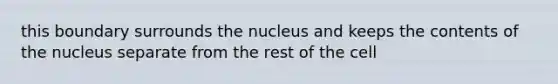 this boundary surrounds the nucleus and keeps the contents of the nucleus separate from the rest of the cell