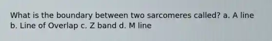 What is the boundary between two sarcomeres called? a. A line b. Line of Overlap c. Z band d. M line