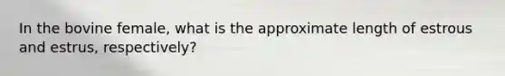 In the bovine female, what is the approximate length of estrous and estrus, respectively?