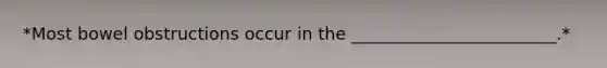 *Most bowel obstructions occur in the ________________________.*