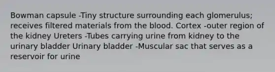 Bowman capsule -Tiny structure surrounding each glomerulus; receives filtered materials from the blood. Cortex -outer region of the kidney Ureters -Tubes carrying urine from kidney to the urinary bladder Urinary bladder -Muscular sac that serves as a reservoir for urine