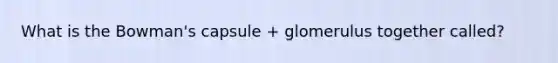 What is the Bowman's capsule + glomerulus together called?