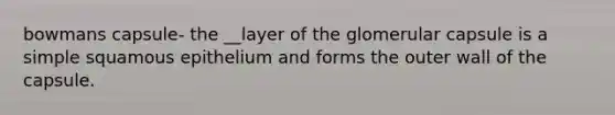 bowmans capsule- the __layer of the glomerular capsule is a simple squamous epithelium and forms the outer wall of the capsule.