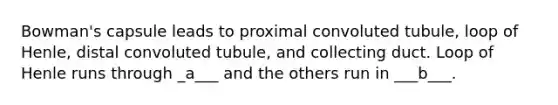 Bowman's capsule leads to proximal convoluted tubule, loop of Henle, distal convoluted tubule, and collecting duct. Loop of Henle runs through _a___ and the others run in ___b___.