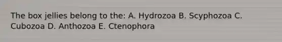 The box jellies belong to the: A. Hydrozoa B. Scyphozoa C. Cubozoa D. Anthozoa E. Ctenophora