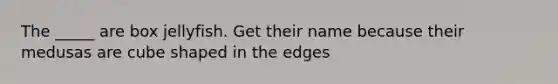 The _____ are box jellyfish. Get their name because their medusas are cube shaped in the edges
