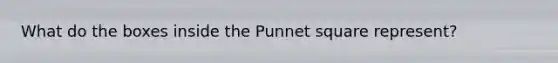 What do the boxes inside the Punnet square represent?