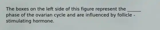 The boxes on the left side of this figure represent the ______ phase of the ovarian cycle and are influenced by follicle -stimulating hormone.