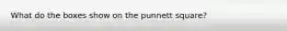 What do the boxes show on the punnett square?