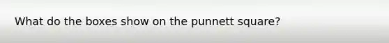 What do the boxes show on the punnett square?