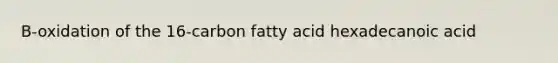 B-oxidation of the 16-carbon fatty acid hexadecanoic acid