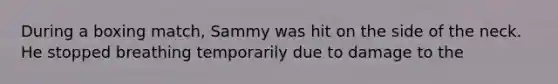 During a boxing match, Sammy was hit on the side of the neck. He stopped breathing temporarily due to damage to the