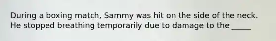 During a boxing match, Sammy was hit on the side of the neck. He stopped breathing temporarily due to damage to the _____