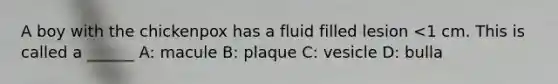 A boy with the chickenpox has a fluid filled lesion <1 cm. This is called a ______ A: macule B: plaque C: vesicle D: bulla