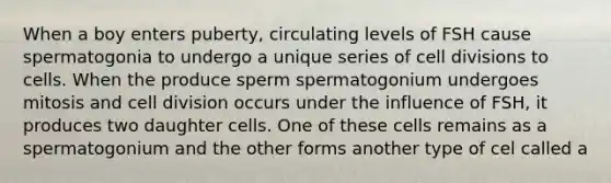 When a boy enters puberty, circulating levels of FSH cause spermatogonia to undergo a unique series of cell divisions to cells. When the produce sperm spermatogonium undergoes mitosis and cell division occurs under the influence of FSH, it produces two daughter cells. One of these cells remains as a spermatogonium and the other forms another type of cel called a