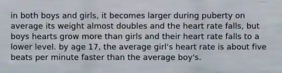 in both boys and girls, it becomes larger during puberty on average its weight almost doubles and the heart rate falls, but boys hearts grow more than girls and their heart rate falls to a lower level. by age 17, the average girl's heart rate is about five beats per minute faster than the average boy's.