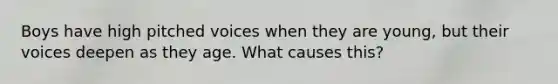 Boys have high pitched voices when they are young, but their voices deepen as they age. What causes this?