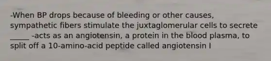 -When BP drops because of bleeding or other causes, sympathetic fibers stimulate the juxtaglomerular cells to secrete _____ -acts as an angiotensin, a protein in the blood plasma, to split off a 10-amino-acid peptide called angiotensin I